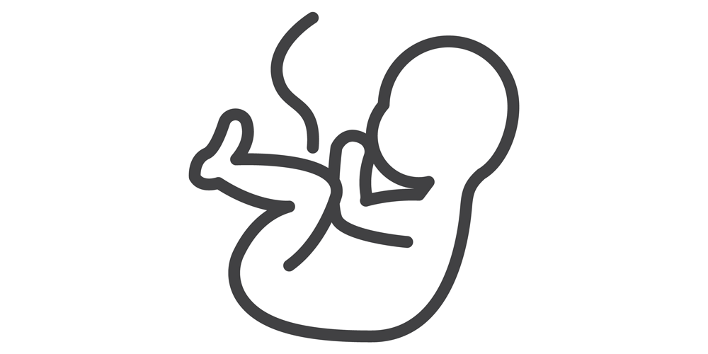 臍帯イメージ